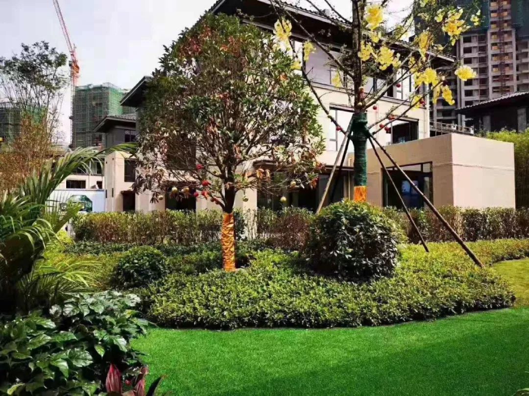 豪宅大平层长沙,长沙十大别墅楼盘