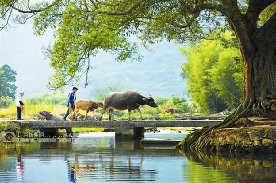 父母不在了亲情淡薄的让人心寒,父母不在兄弟姐妹的亲情哪去了