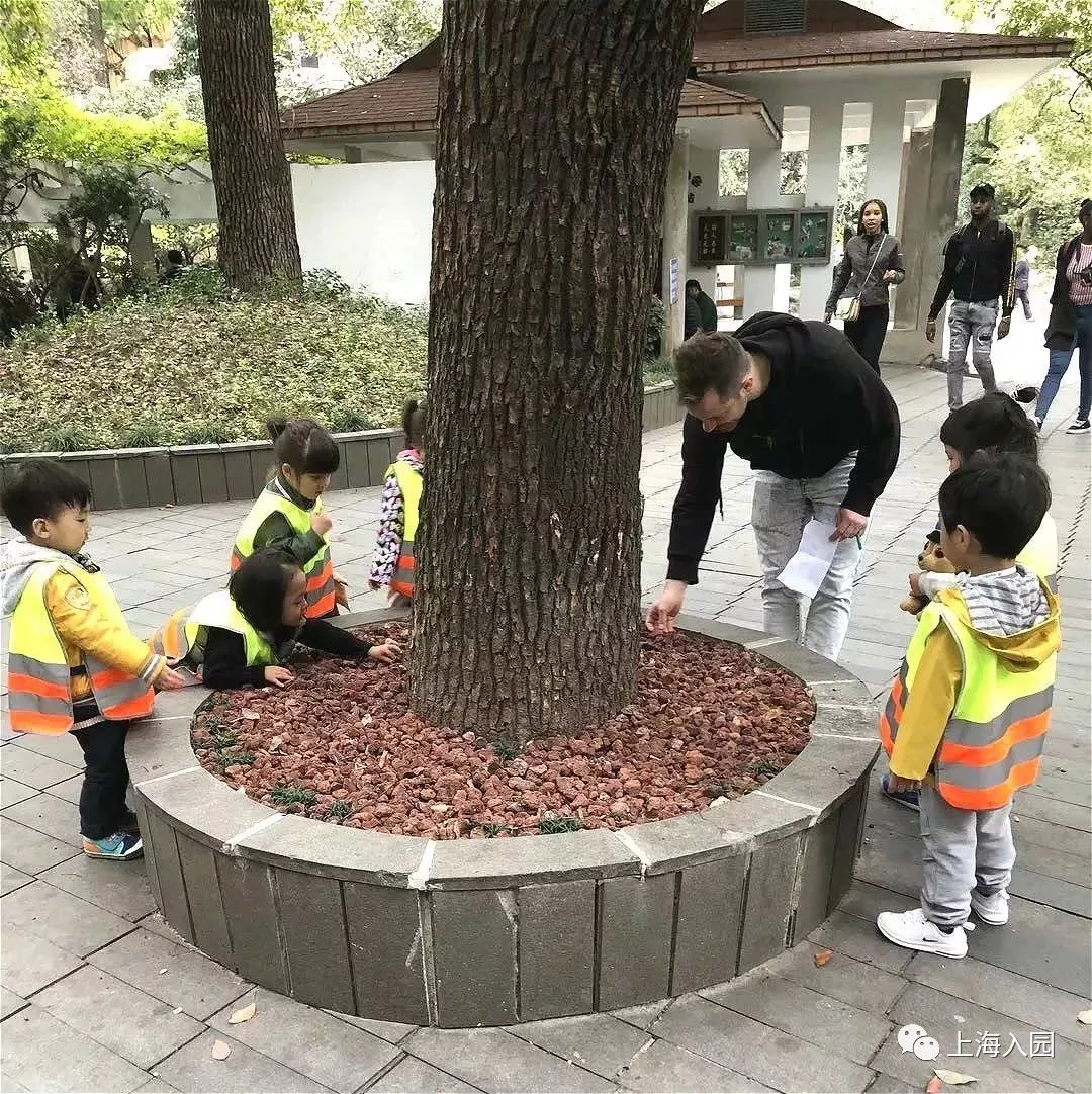 探园|上海寸土寸金地段的双语幼儿园！有托班，要提前1年排队！