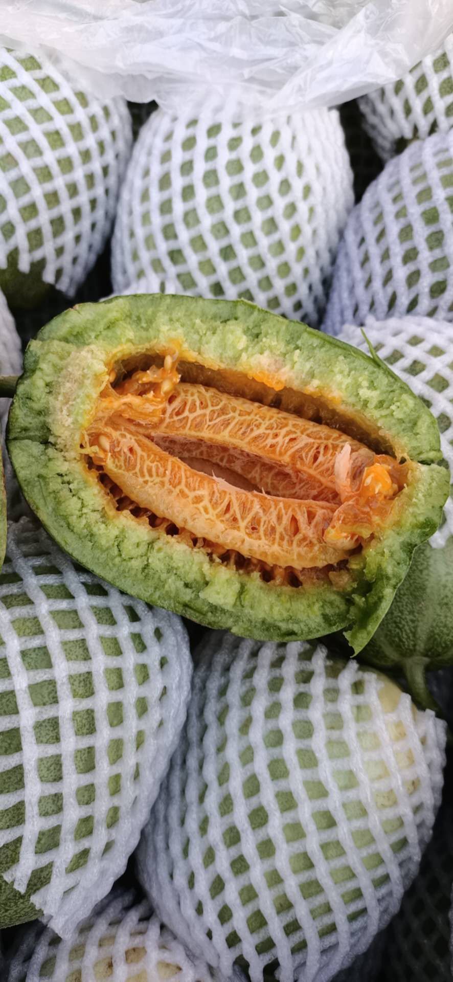 榆林的芝麻香瓜是啥,榆林芝麻香瓜专卖店