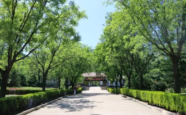 博山区年审,博山年审