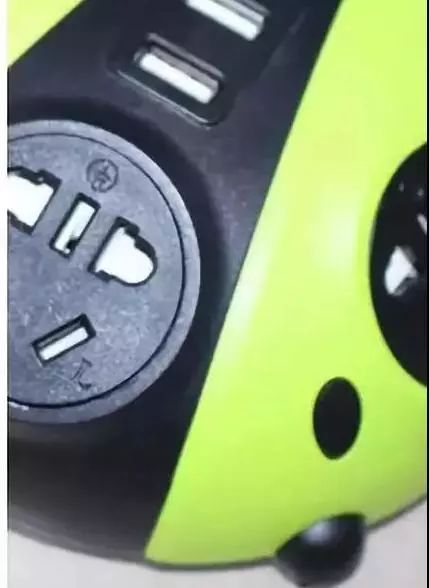 女子在家门口捡到瓢虫,家门口捡到两个瓢虫