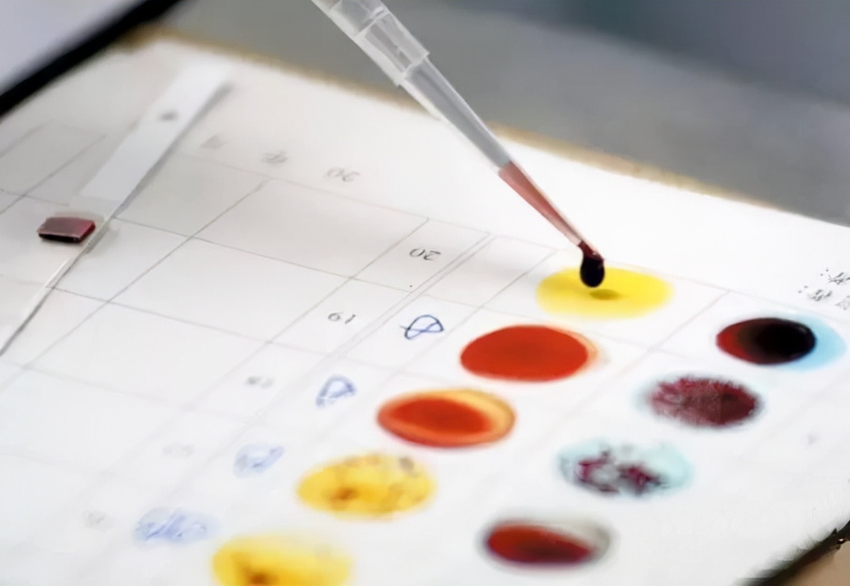 a型b型ab型o型血哪个人的智商高,a型b型o型ab型哪种血型身体好