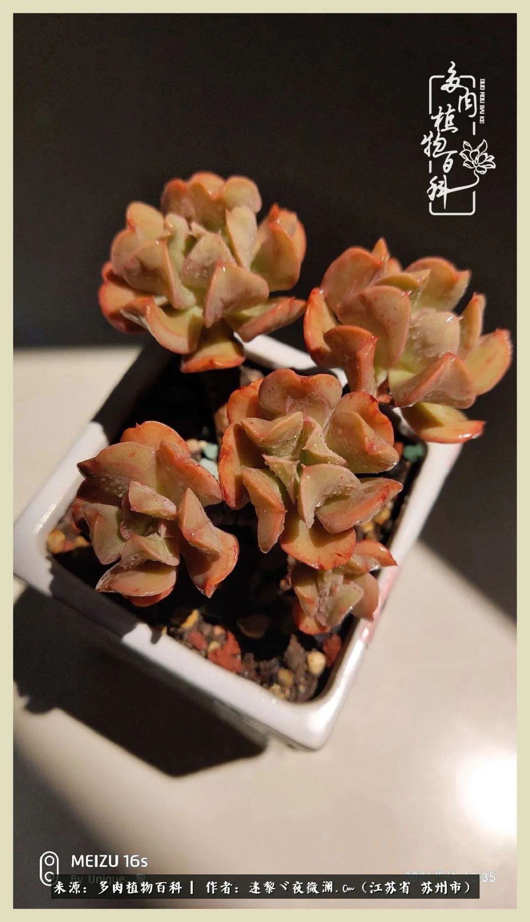 秋尽冬来岁月不居时节如流,岁月不居时节如流水