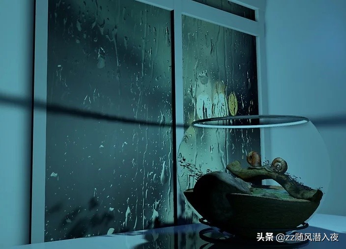 如何养在外捡的很小的蜗牛,如何养蜗牛蜗牛吃什么