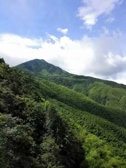 中国有个平江县伴奏,中国有个平江县是真的吗