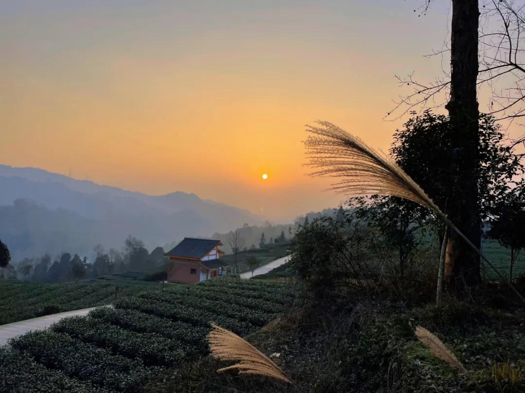 雅安上里古镇最好的民宿推荐,原地过年品味年味