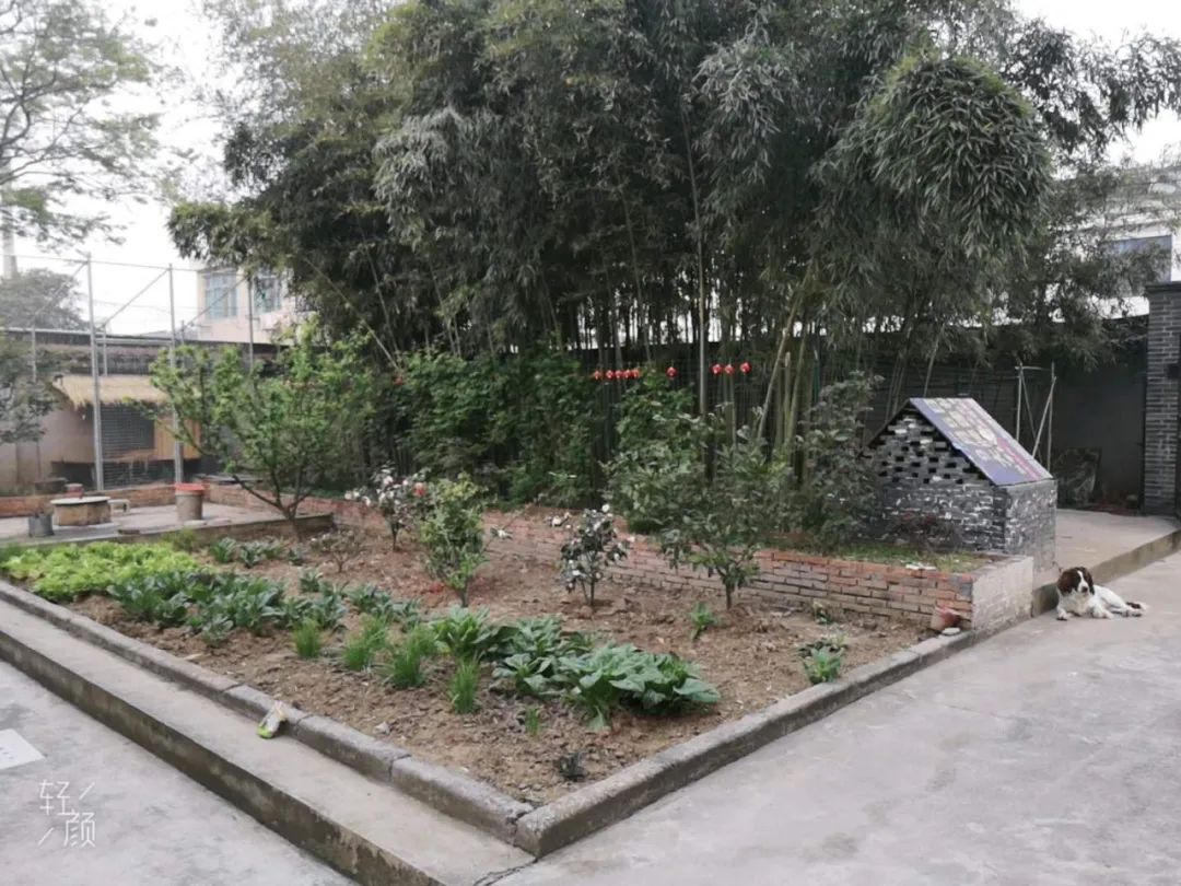 江阴新桥最美庭院,江苏江阴阳台风景