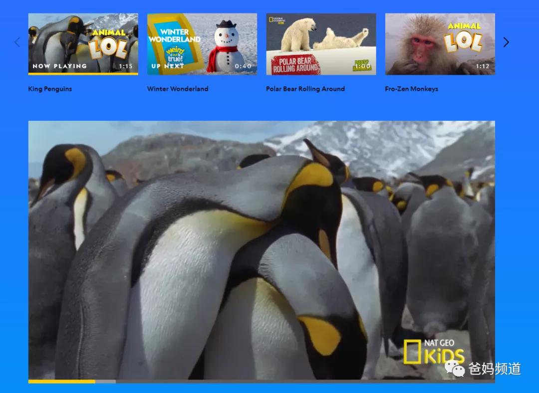 十大有趣的宝藏网站,十大实用宝藏网站