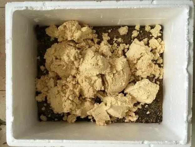 养花最好的颗粒土,碎砖养花的正确方法