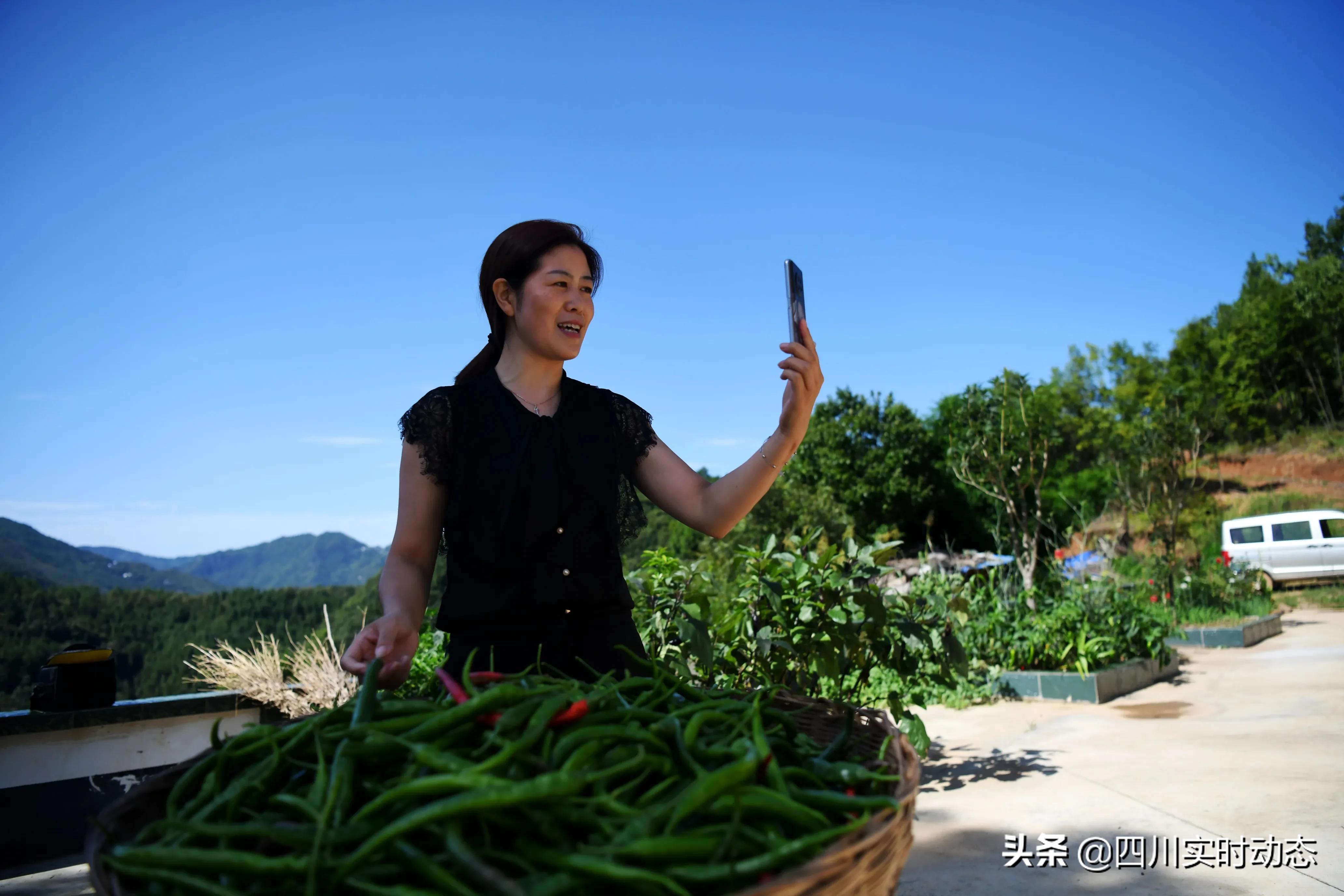 广元农业电商,四川广元农产品电商