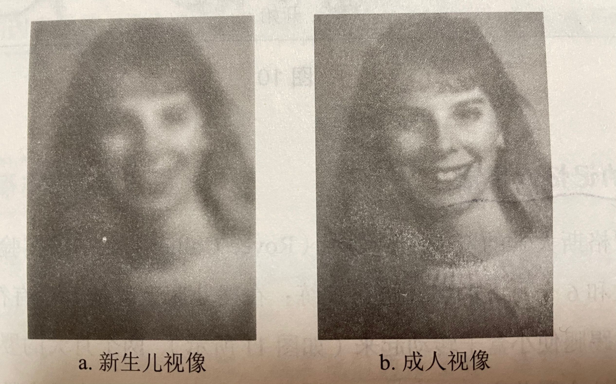 两岁半的孩子还认生？与婴儿认生期有关，怎样帮孩子度过认生期