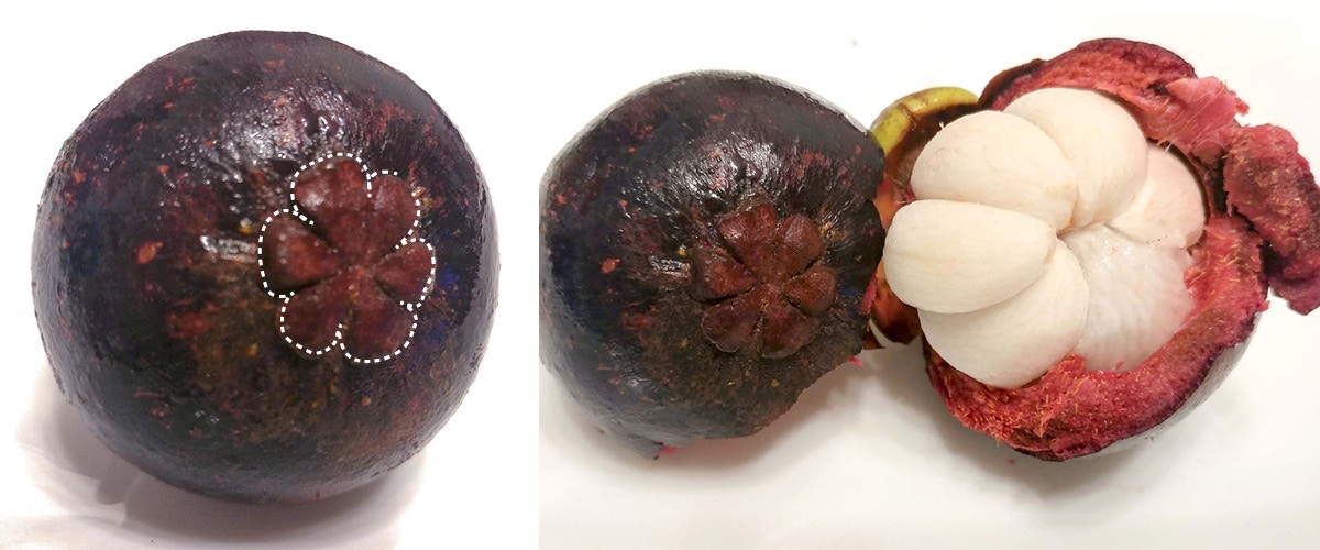 山竹是低糖还是高糖水果,山竹是减肥还是长胖的