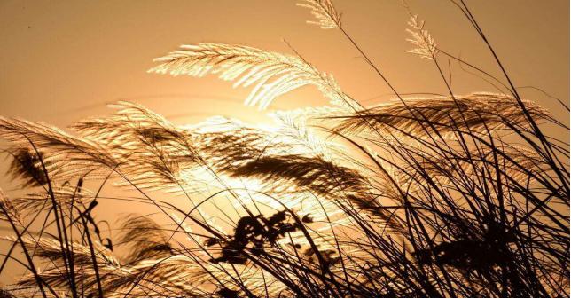 如何预防或减少药物副作用,免疫治疗药物副作用