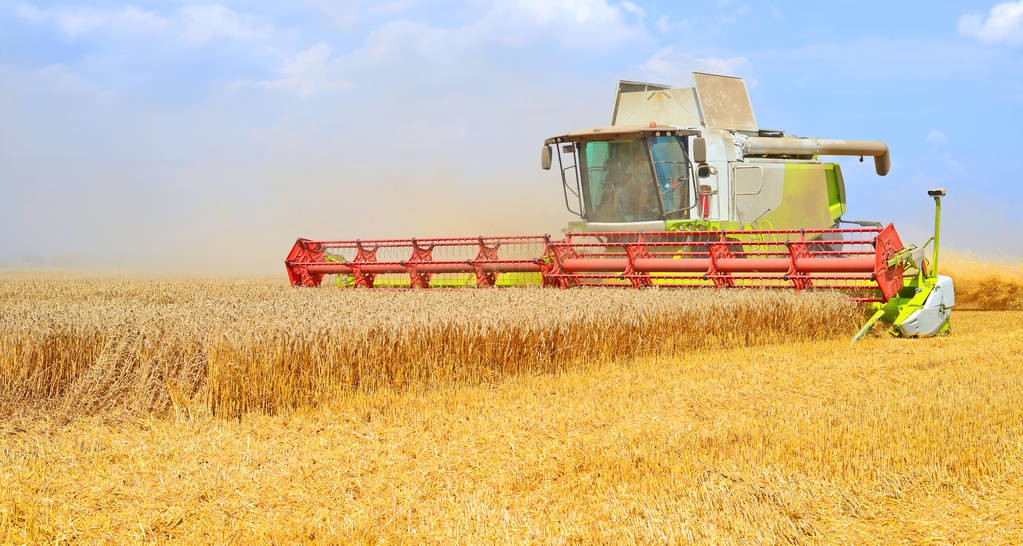 珍爱网有红娘吗,珍爱网微信红娘靠谱吗