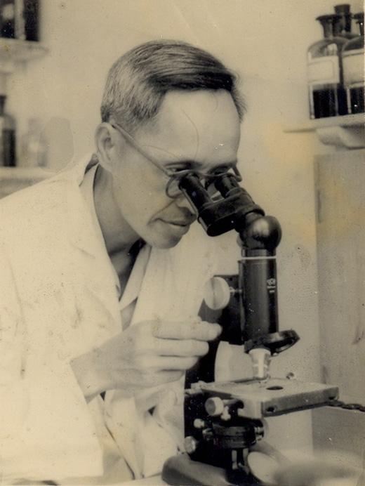 鱼类的繁殖技术,人工繁殖鱼最新技术