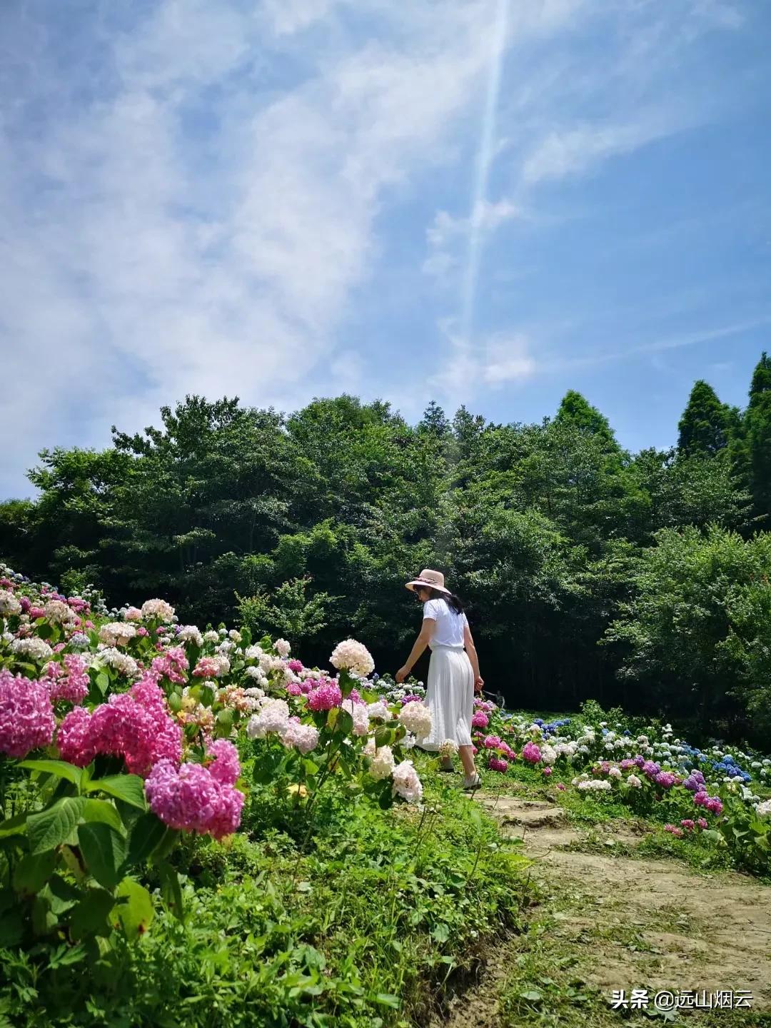 三个方法拍照,自己用自拍杆如何拍照不露杆