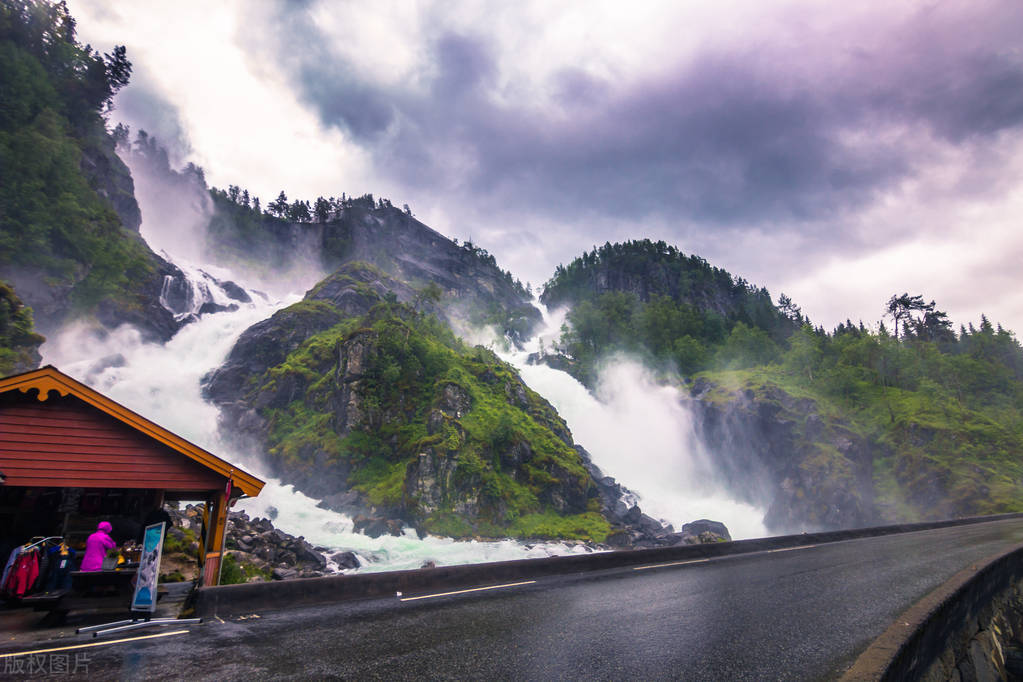 浮生情小说,浮生情免费阅读