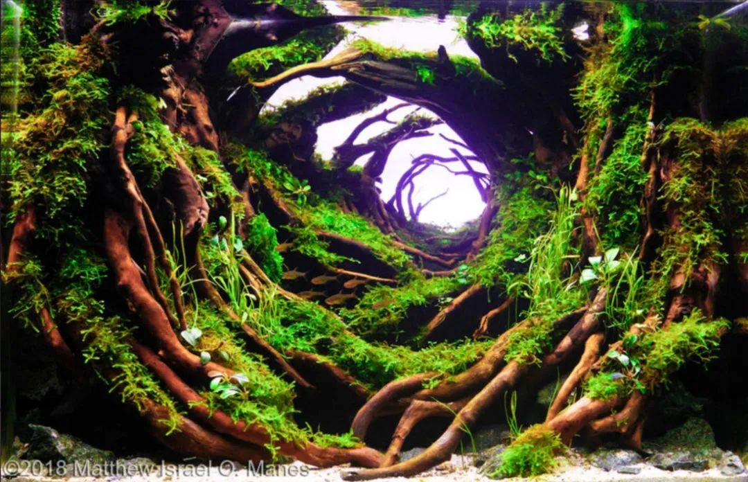 造景如何看起来有层次,十个最好看的造景