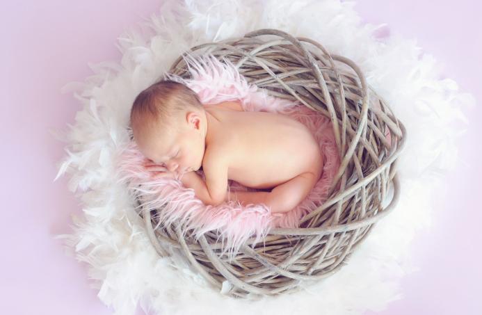 蒲地蓝是不是儿童禁用药,蒲地蓝不推荐儿童使用