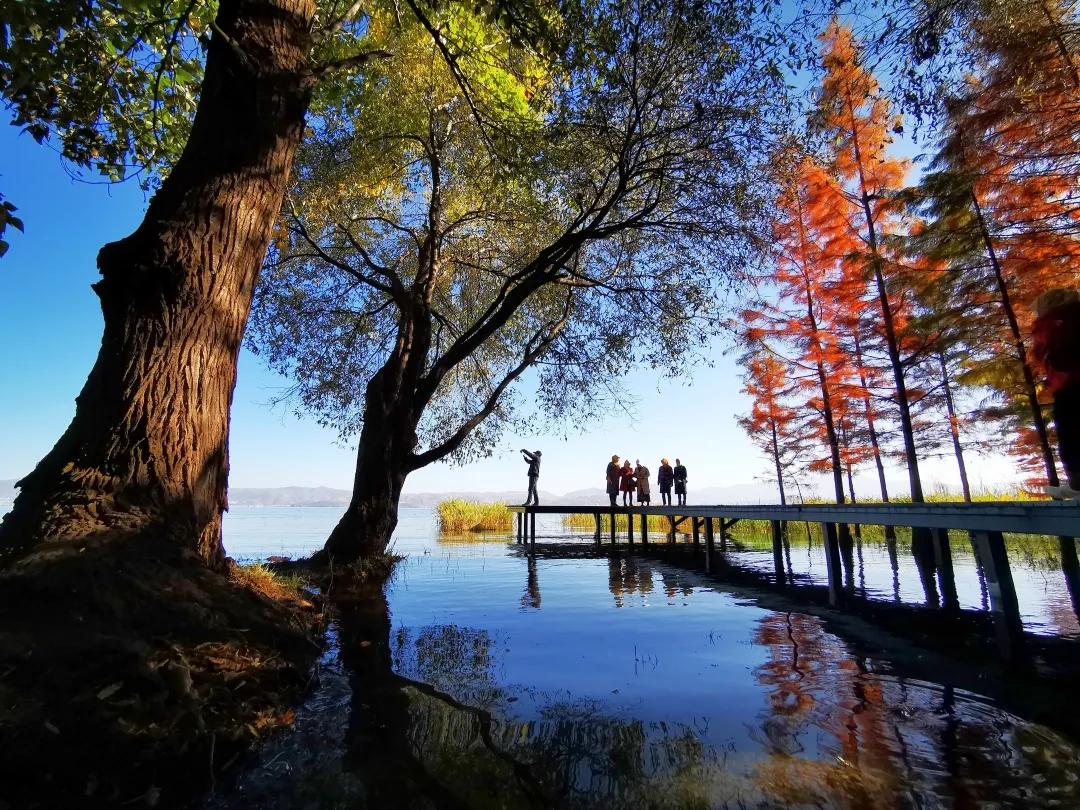 2023平遥国际摄影节获奖摄影作品,2009大理摄影展获奖作品