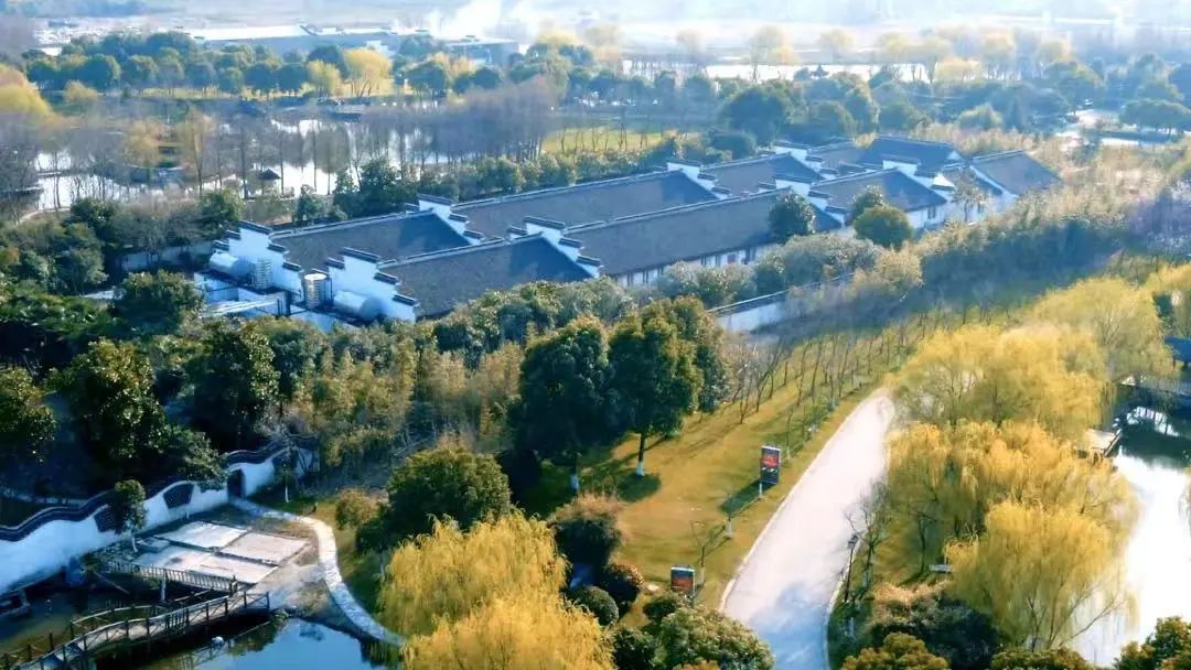 深秋回暖，安排！沪上各区的深秋美景，你准备好打卡了吗？