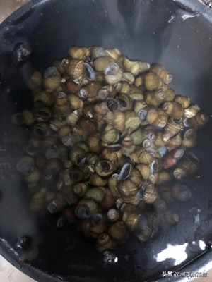 爆炒螺丝菜的做法大全,螺丝下酒菜做法大全