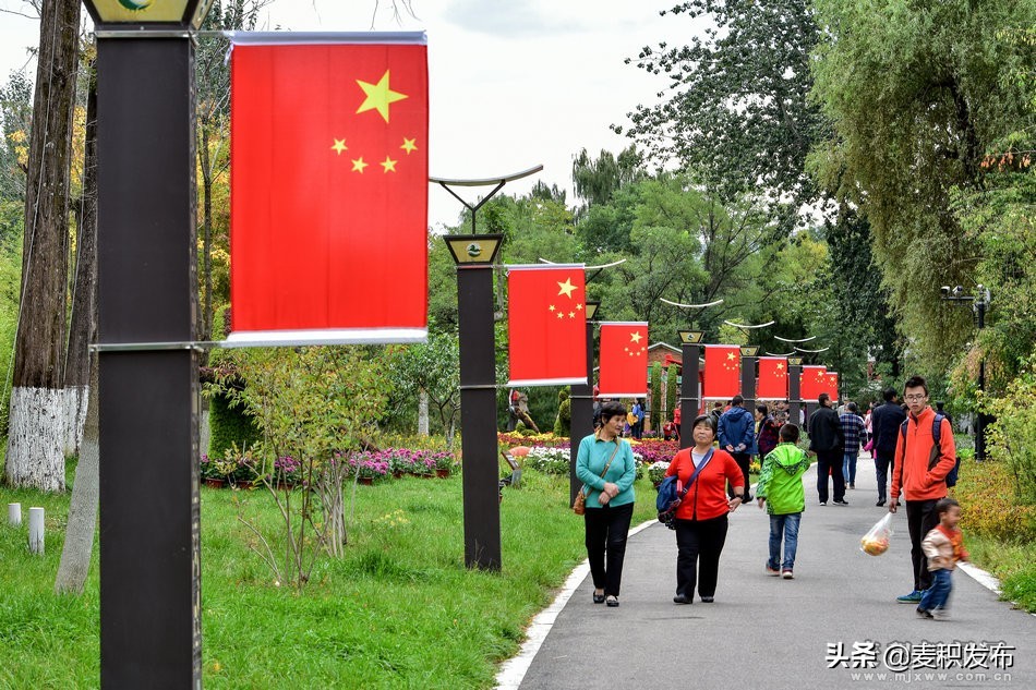 马跑泉公园有菊花展吗,庆祝菊花