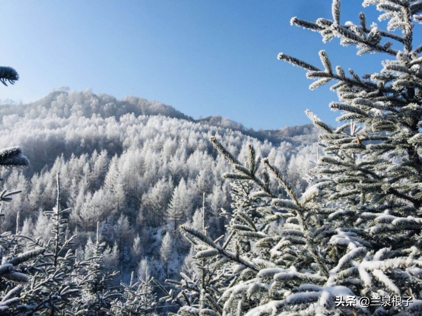 兰州市七里河区金色阳光幼儿园,金色阳光幼儿园大二班老师