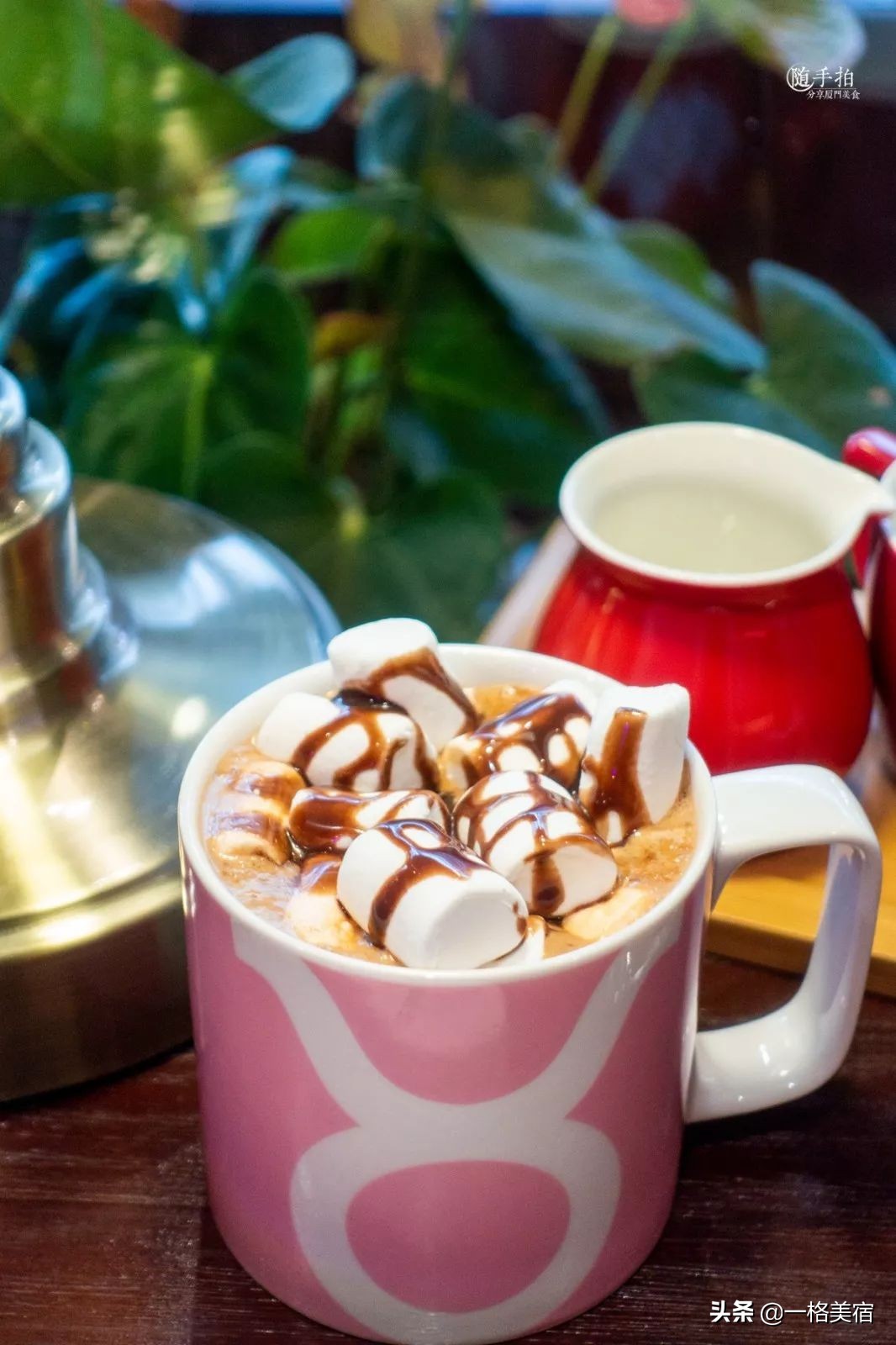 鼓浪屿吃喝,鼓浪屿在哪吃不被坑