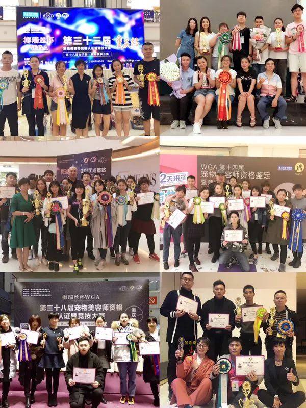 讲述宠物美容行业里拥有自己想要的人生