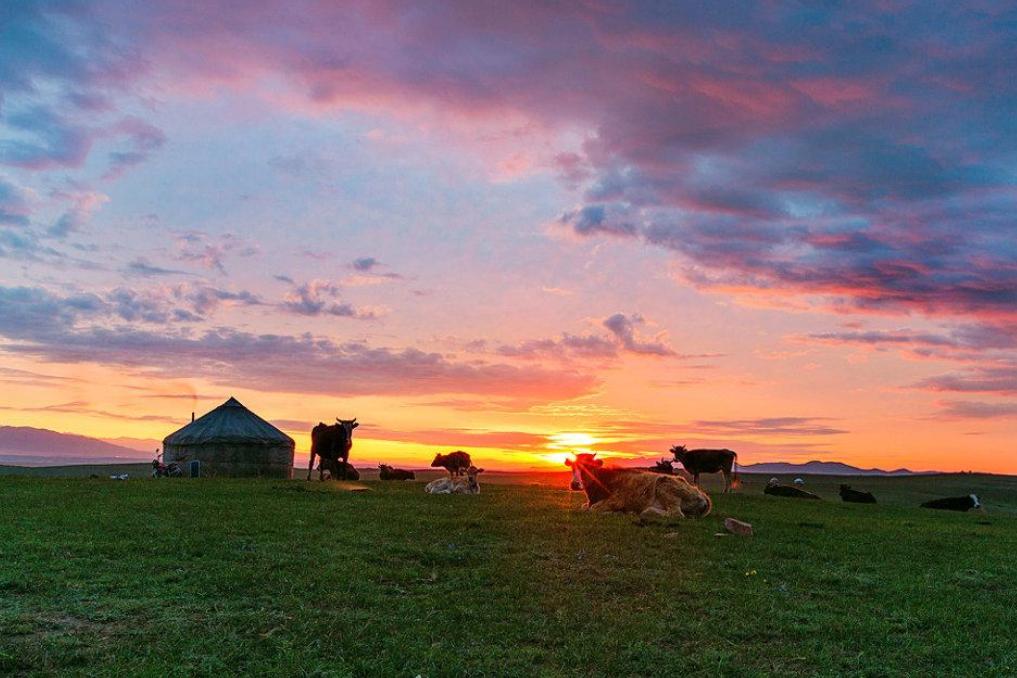 唐朝十大经典诗词名句,唐朝排行前十的诗词完整版