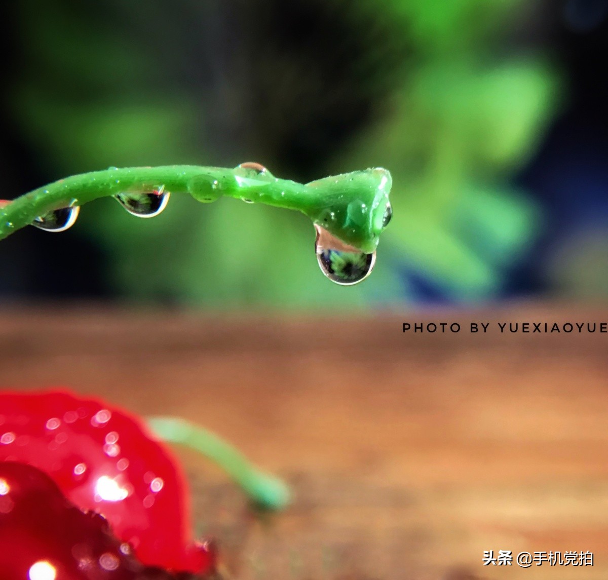 手机拍照模糊如何修复清晰度,手机画质模糊怎么办