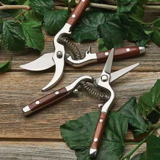 成为花艺师需要具备哪些条件,想当花艺师可以考什么学校