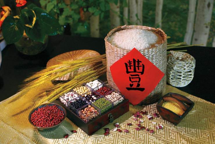 孔老夫子有多强大,孔老夫子和五谷不分有什么关系