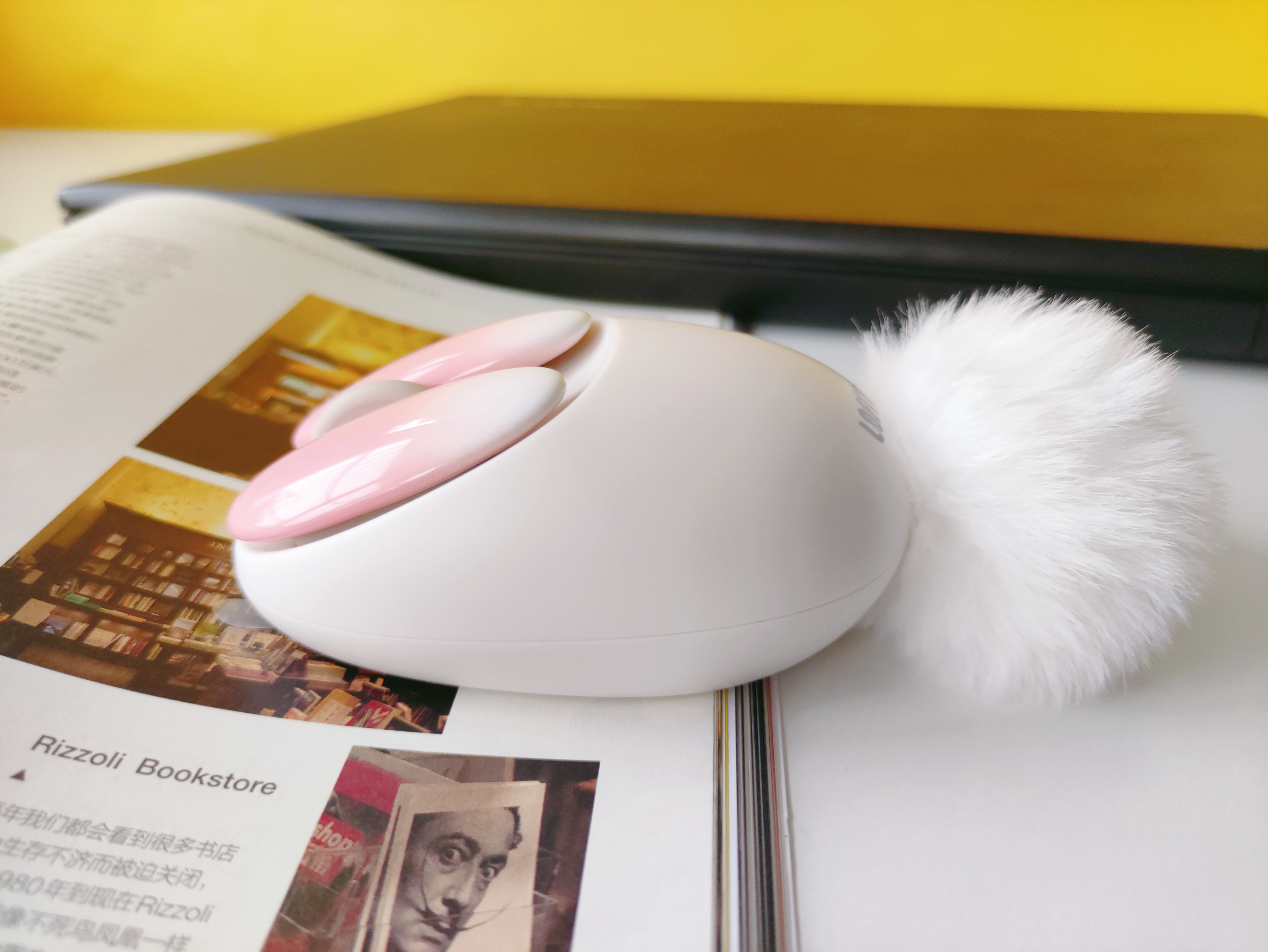 lofree洛斐无线蓝牙鼠标配对,洛斐小瓣鼠标和薯片鼠标对比