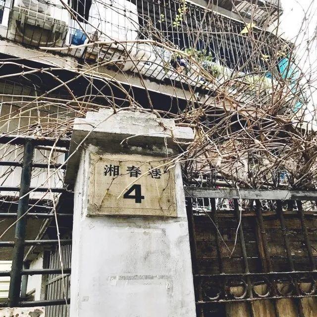 德国夫妇长沙面包店,德国夫妇在中国开面包店