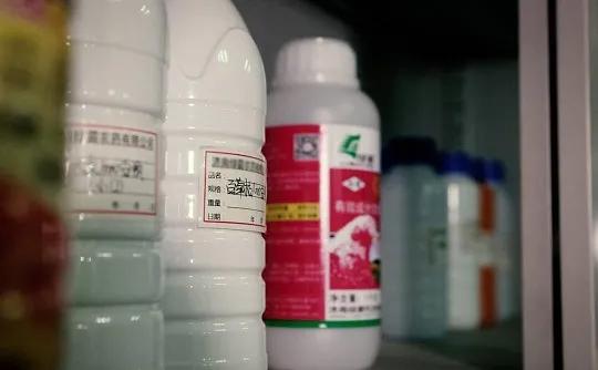 「美康周报」明星助阵！10月深圳国际美博会引爆“新势能”