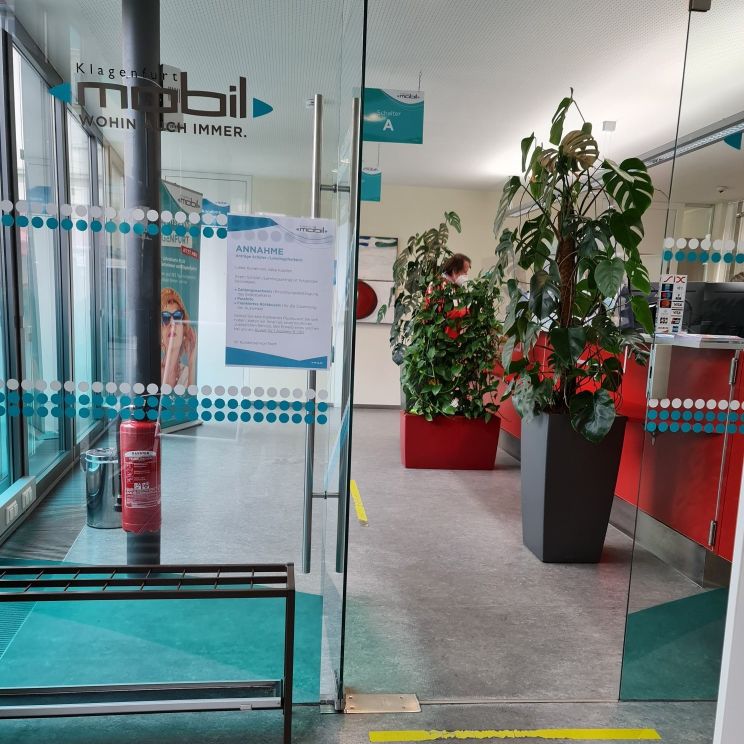 奥地利办理费用,新加坡儿童免费交通卡怎么办理