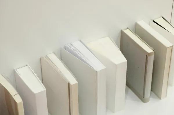 “请给我看看你最喜欢的纸”