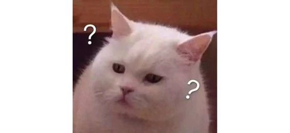 猫砂丢干垃圾还是湿垃圾,猫砂和猫屎可以扔垃圾桶吗