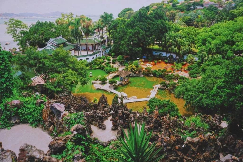 一个人旅行之厦门,一个人去厦门旅行攻略大全