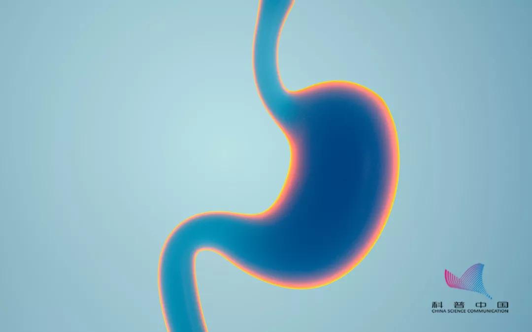 牛奶可以和药物同时服用吗,羟氯喹为什么要与牛奶一起服用