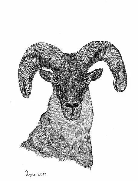 那些在纸上画画的神奇小孩,盘点那些年纪小画技超群的孩子