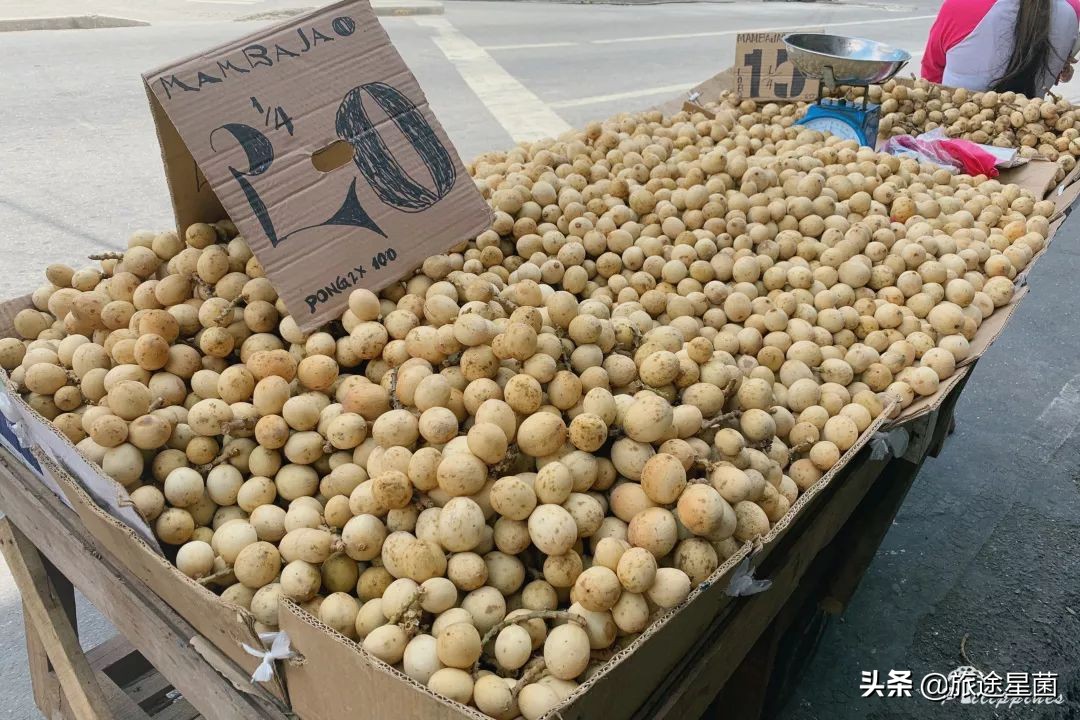 菲律宾宿务简介,宿务在菲律宾的位置