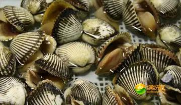 舟山海鲜攻略2天3晚吃什么,舟山海鲜代加工攻略