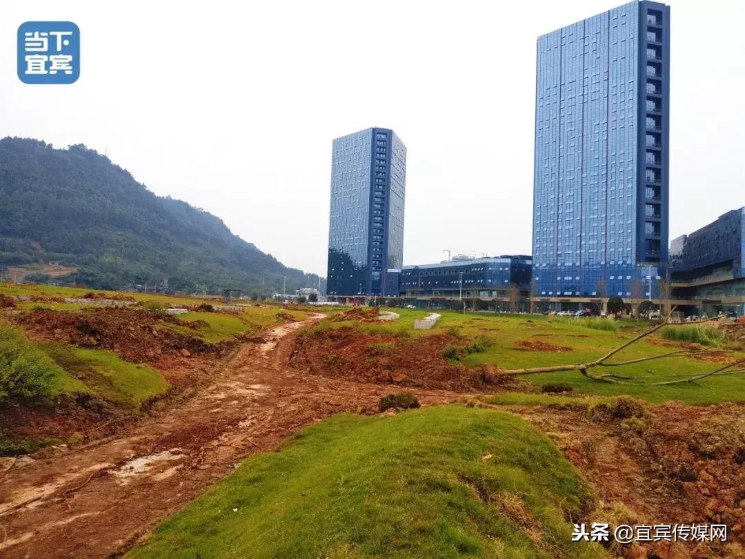 宜宾临港新增公园,宜宾白沙湖最新规划