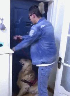 哪种颜色的裤子穿多了会反光,反光裤子在什么情况下反光