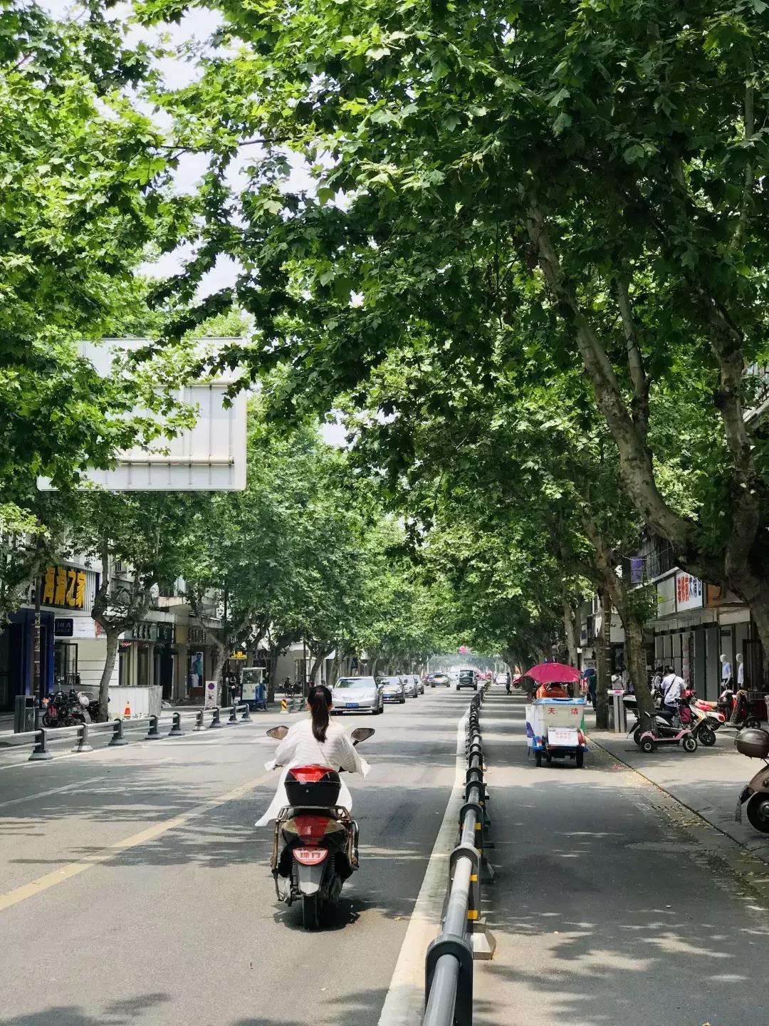 每个郫筒二小毕业的，都是在石牛公园耍大的