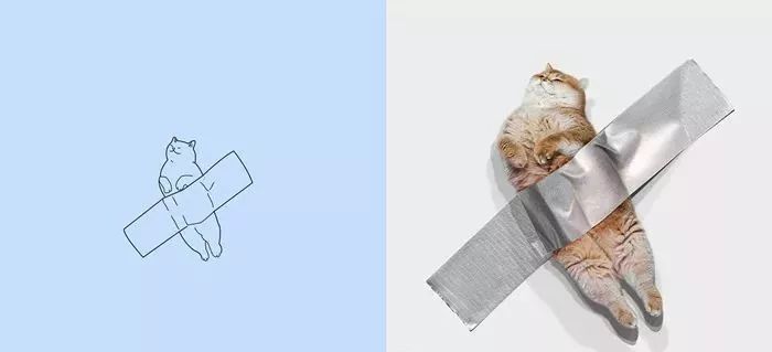 你和大触绘画的区别：一看就会一画就废，这波动物简笔画太形象了